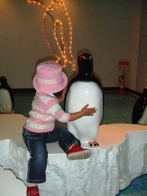 DSCF8723.JPG