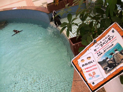 DSCF8710.JPG