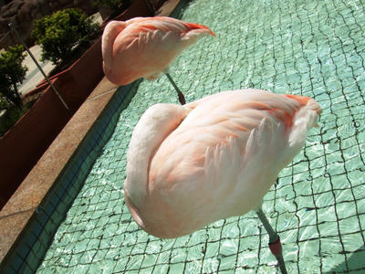 DSCF8713.JPG