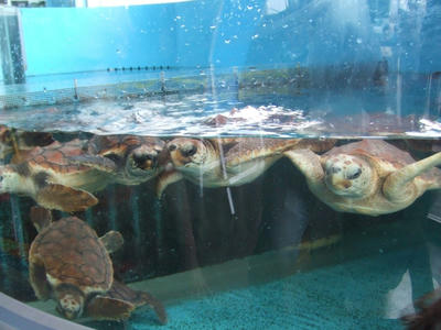 DSCF9214.JPG