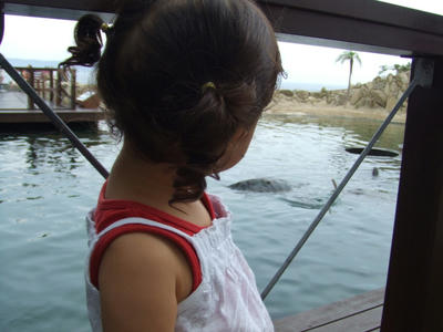 DSCF9218.JPG