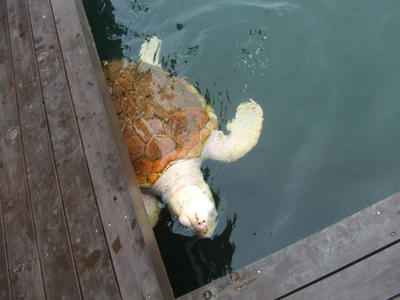 DSCF9220.JPG