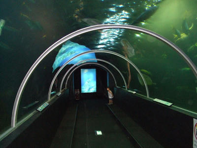 DSCF9224.JPG