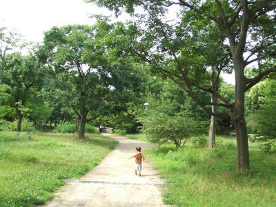 DSCF9059.JPG