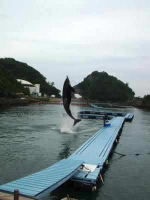DSCF9339.JPG