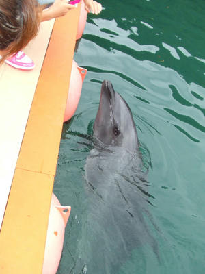 DSCF9350.JPG