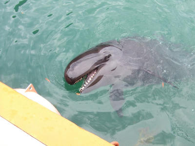 DSCF9361.JPG