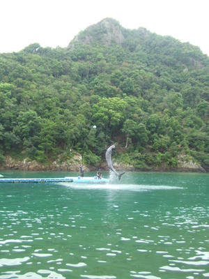 DSCF9367.JPG