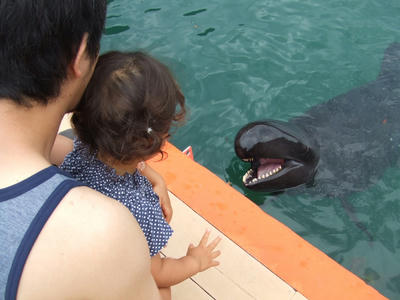 DSCF9362.JPG