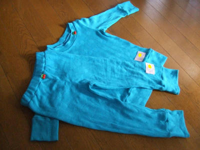 DSCF0245.JPG