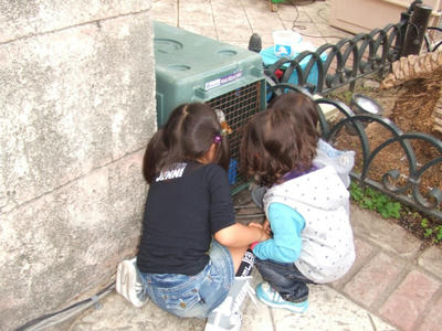 DSCF0269.JPG