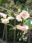2011050210410000.jpg