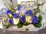 KC370067.jpg