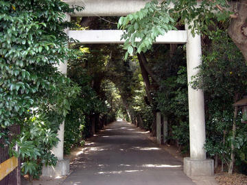 久伊豆神社 参道入り口の鳥居