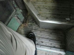 070827_kusa.jpg