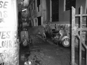 070901_varanasi_ushi2.JPG
