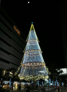 071204_fuego2.jpg