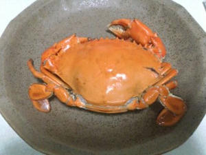 080706_kani.JPG