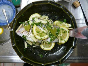 080918_fish2.jpg