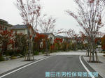 PA240339.jpg