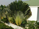 PC250572.jpg