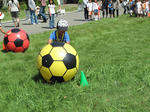 IMG_4248.jpg