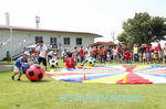 IMG_2252.jpg