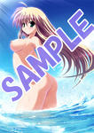 sample02.jpg