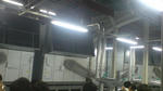 SN380209.JPG