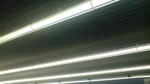 SN380247.JPG