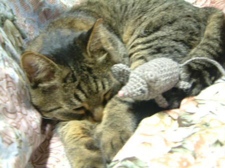 DSCF0024.JPG