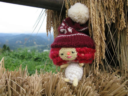 IMG_1408_SP0000.JPG