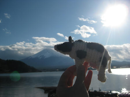 IMG_1021_SP0000.JPG
