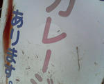 NEC_0287.JPG