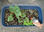 DSCN5393.JPG