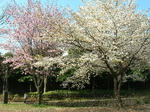 DSCN6899.JPG
