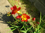 f592fe0a.JPG