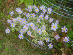 DSCN7432.JPG