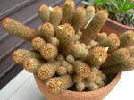 DSCN7459.JPG
