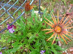 DSCN7462.JPG