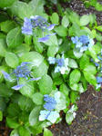 200907021057000.jpg