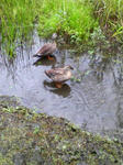 200907021055001.jpg
