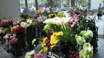 2010042013140000.jpg