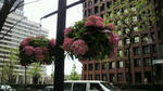 2010042013020001.jpg