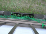 greenC3.jpg