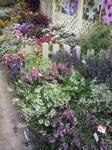 2010102814590000.jpg