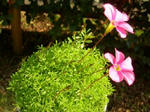 22.11.12b.JPG