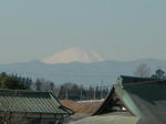 23.2.1fuji3.JPG