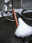 23.2.11snow.jpg