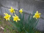 23.3.28.JPG